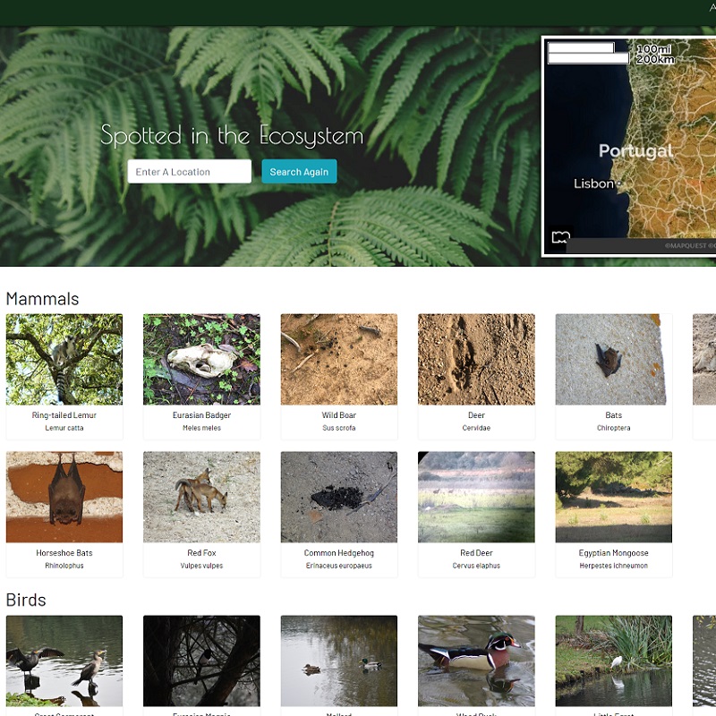 Website with location and animals spotted in that area